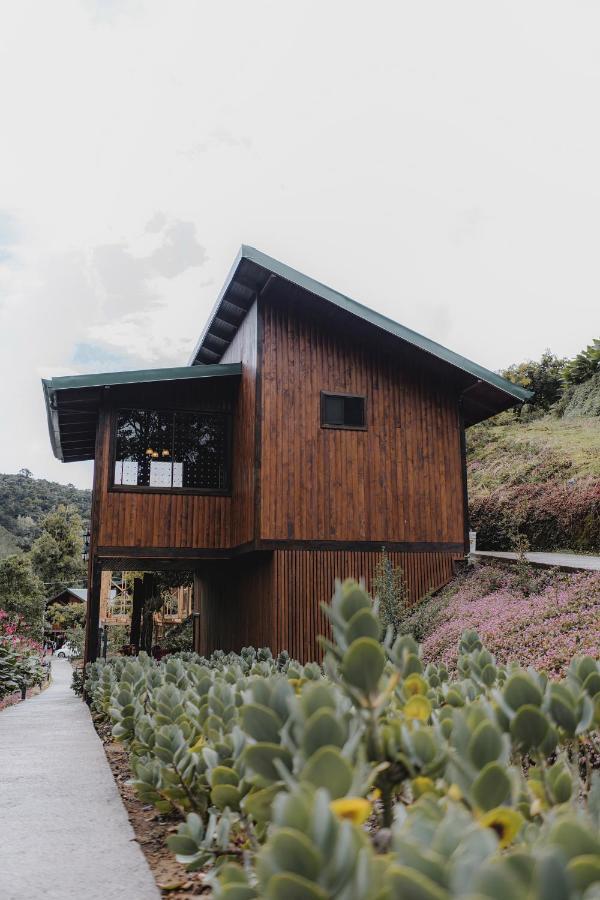 Lauraceas Lodge San Gerardo de Dota Exteriér fotografie