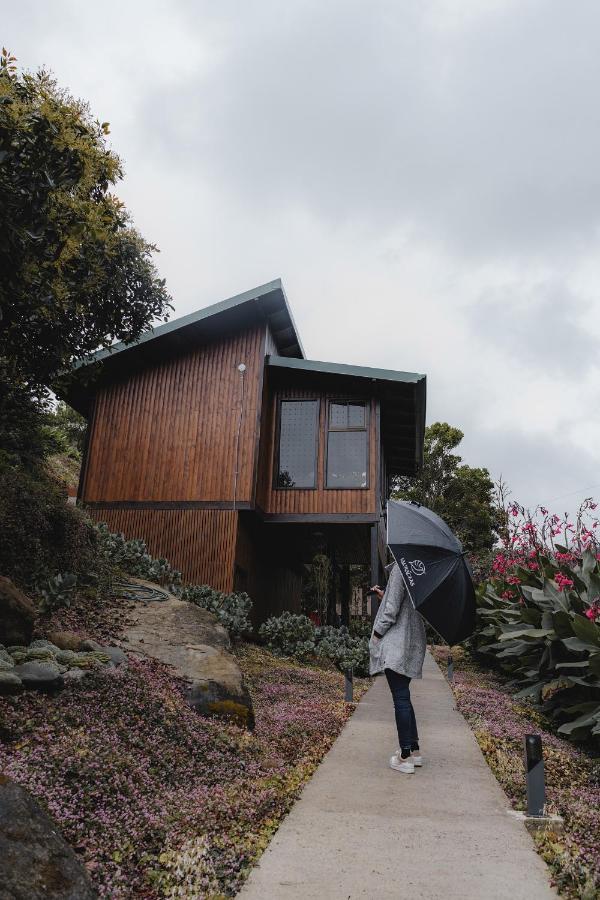 Lauraceas Lodge San Gerardo de Dota Exteriér fotografie